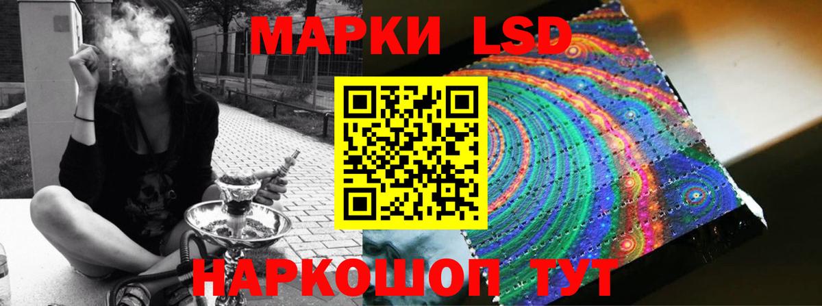 APVP Новодвинск