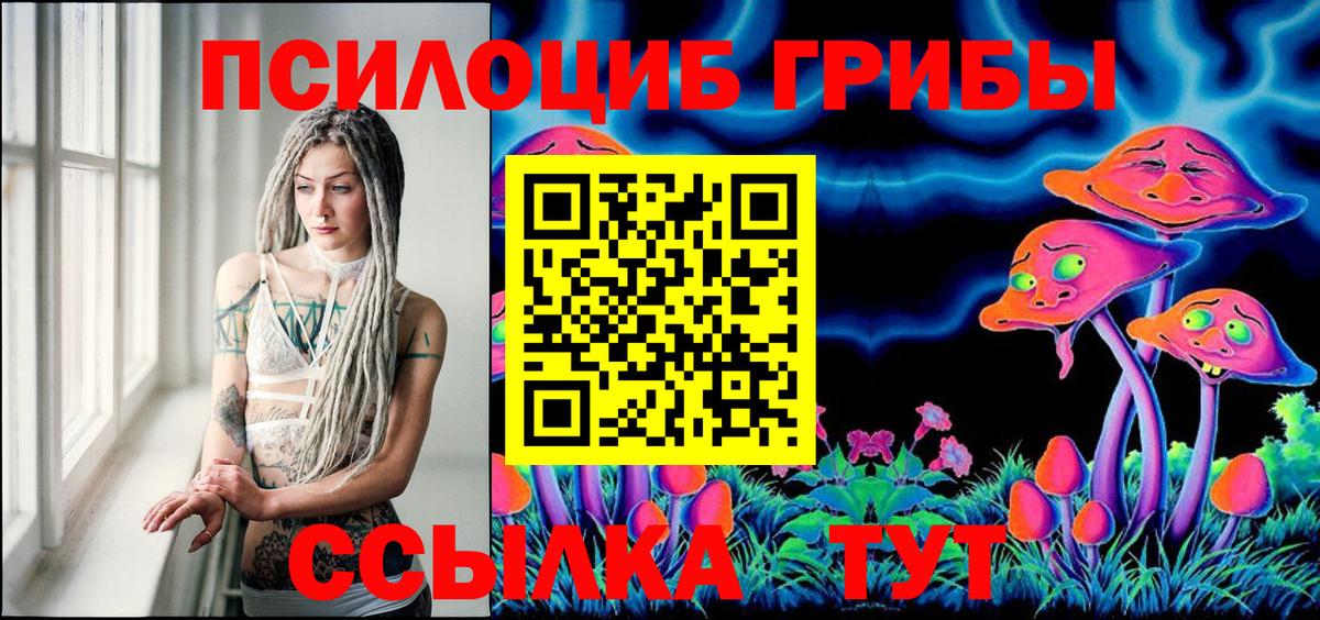Галлюциногенные грибы Psilocybine cubensis  Вход с VPN  Новодвинск 