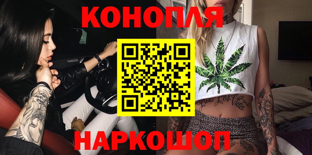Конопля гибрид Новодвинск